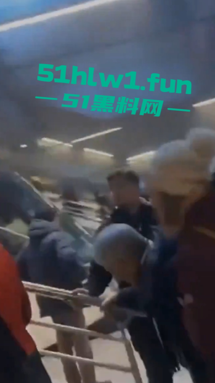 车祸现场图10