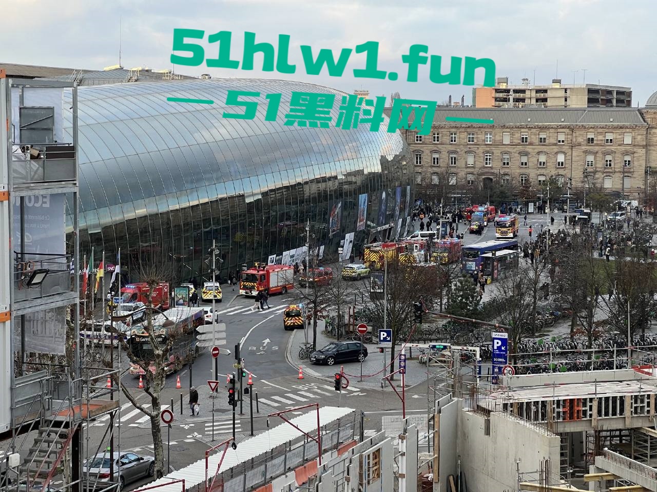 车祸现场图5